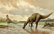 Hadrosaurier